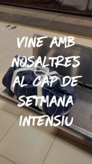 🎶 Cap de setmana intensiu amb Cantabile!
Assaigs, riures i complicitat 💛

Tot preparant-nos pel Concert de primavera, que arriba aquest dissabte! 🌸🎤

Us esperem al Cercle de Gràcia a les 18h 🌼
